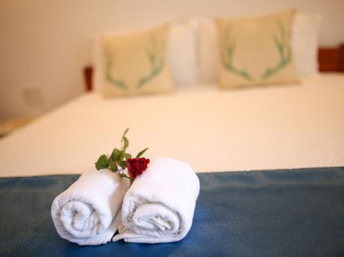 Star Garden Hoi An Apartment Exterior photo